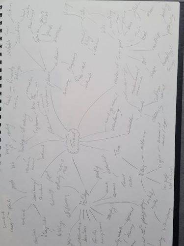 Mind map and draft ideas