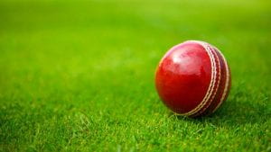 Cricket ball on field