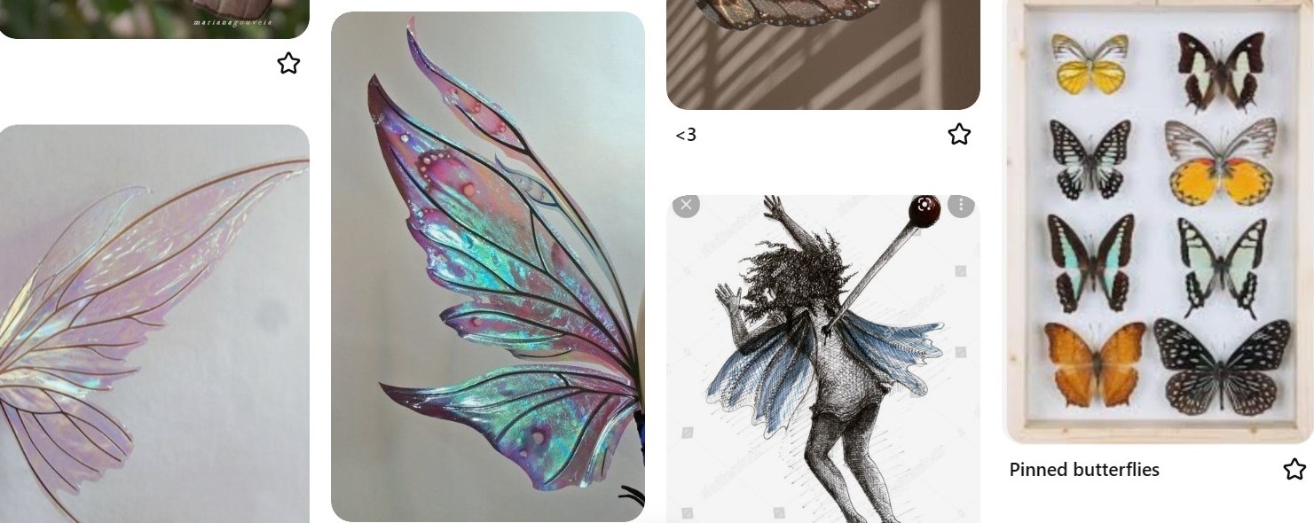 fairy wings and body