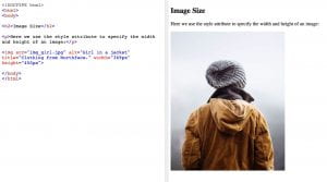 Example of adding an image to a webpage