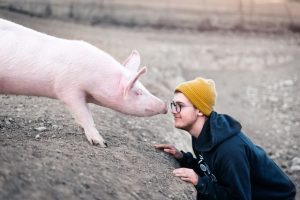 Image pf boy making eye contact with a pig