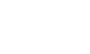 Megan Turtle's Blog